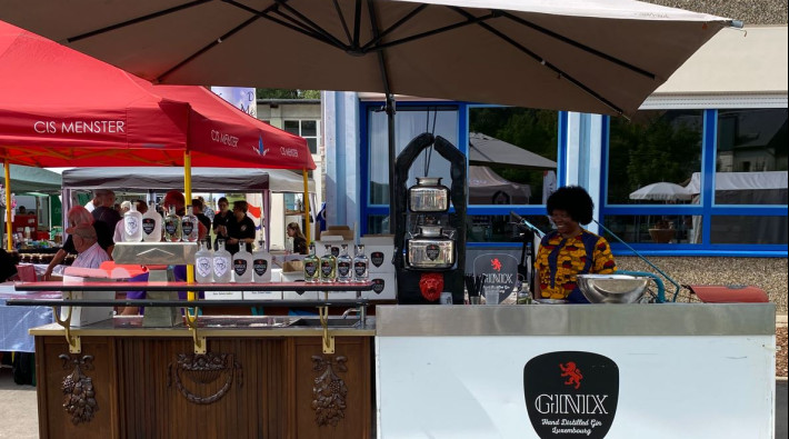 ginix 2