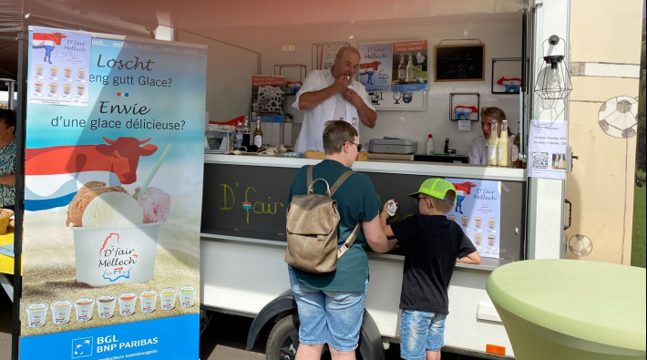 fair mellech 2