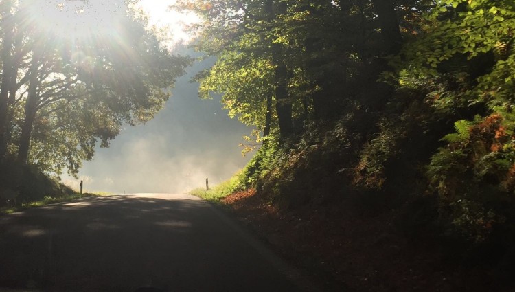 Herbstwanderung mit gratis Erbsensuppe und Bier in Medernach - IMG 1